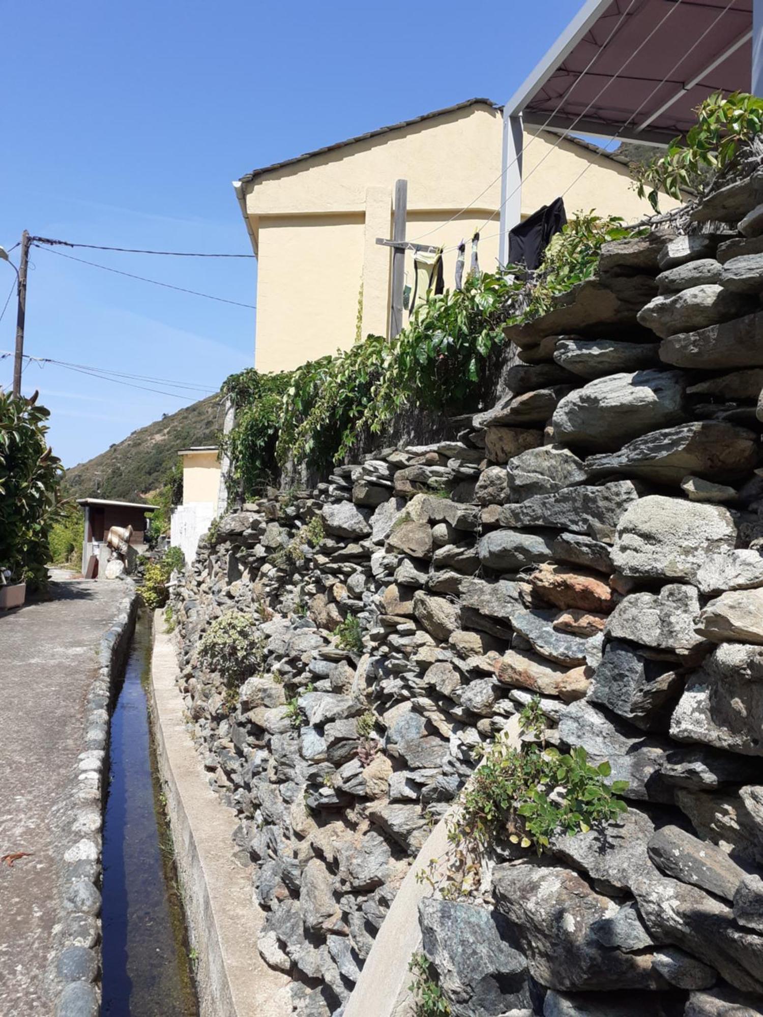 Cap Corse - Maison A 500M De La Plage Grillasca Exterior foto